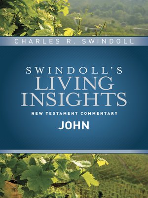 cover image of Insights on John